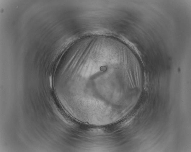 X0000088380061200706121155