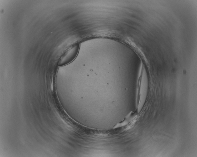 X0000088380062200706121155