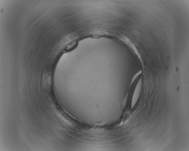 X0000088380063200706121155