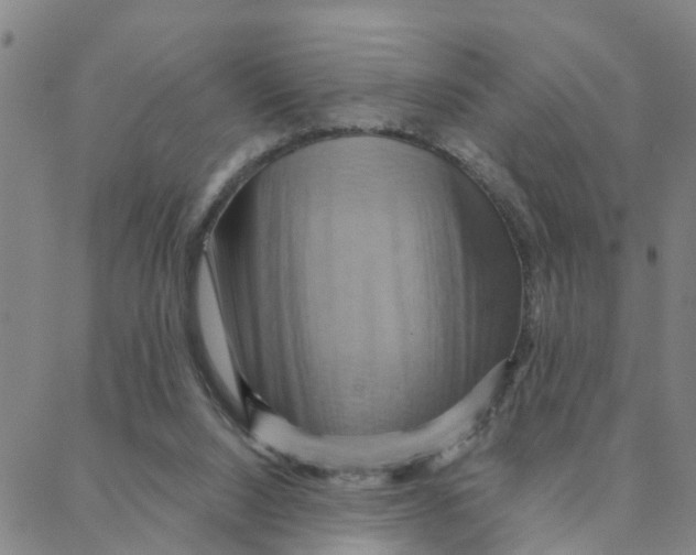 X0000088380064200706121155