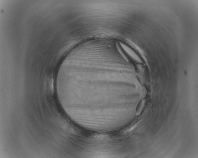 X0000088380067200706121155