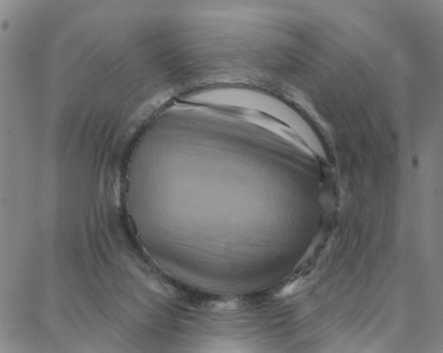 X0000088380068200706121155