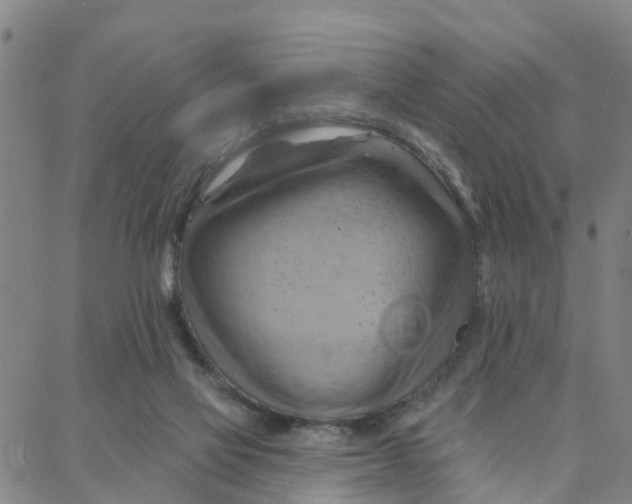 X0000088380069200706121155