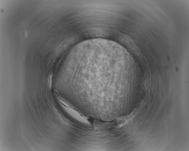 X0000088380070200706121155