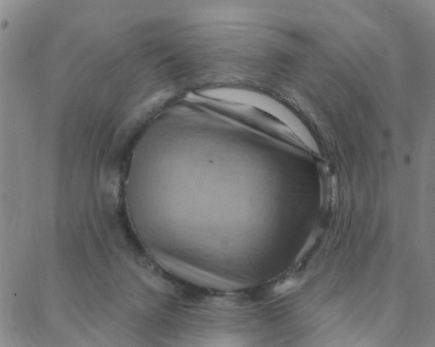 X0000088380072200706121155