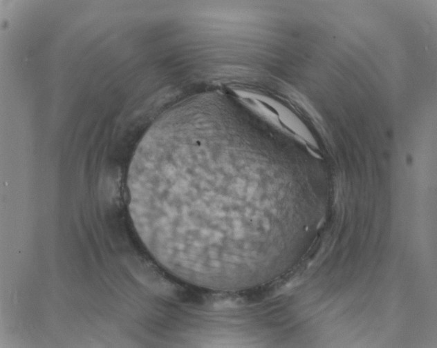 X0000088380073200706121155