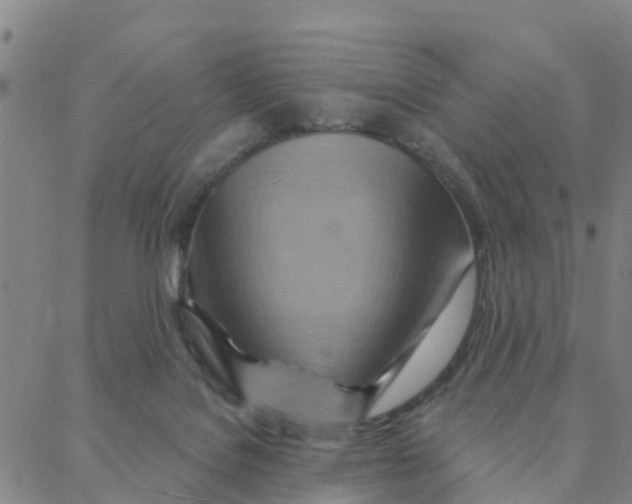 X0000088380076200706121155