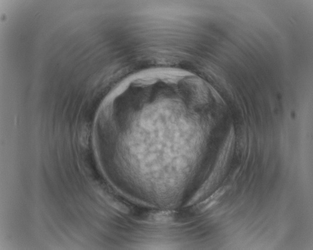 X0000088380078200706121155