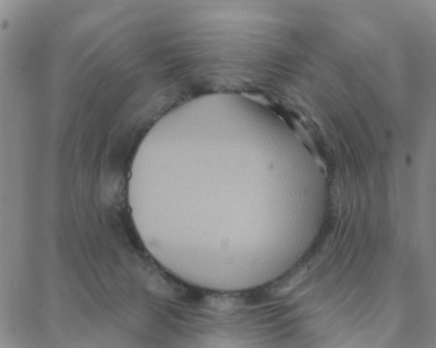 X0000088380079200706121155