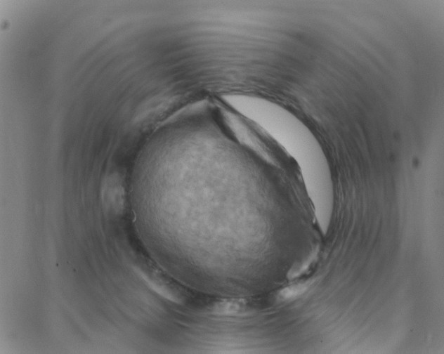 X0000088380080200706121155