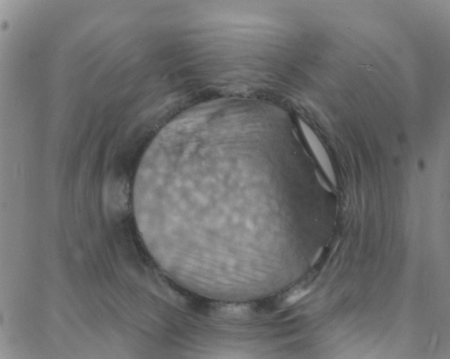 X0000088380081200706121155