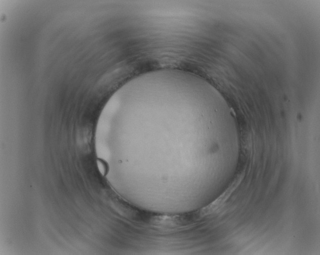 X0000088380082200706121155