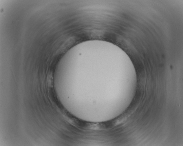 X0000088380083200706121155