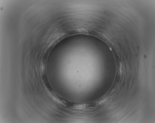 X0000088380084200706121156