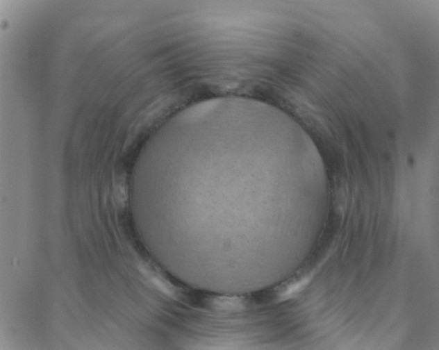 X0000088380085200706121156