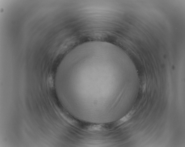 X0000088380086200706121156