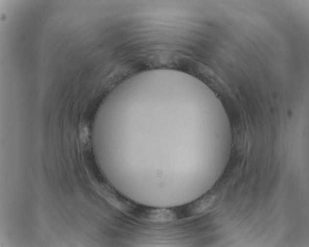 X0000088380087200706121156