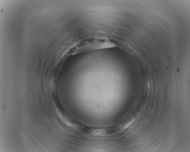 X0000088380088200706121156