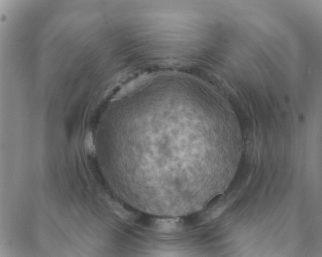 X0000088380089200706121156