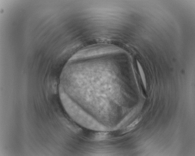 X0000088380090200706121156