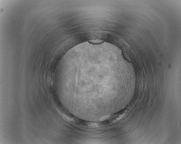 X0000088380091200706121156