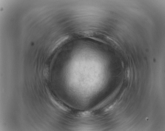 X0000088380092200706121156