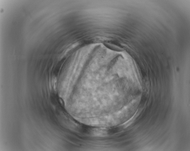 X0000088380094200706121156