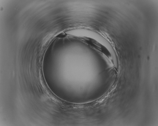 X0000088380097200706121155