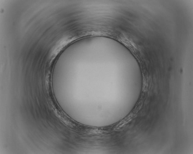 X0000088380098200706121155