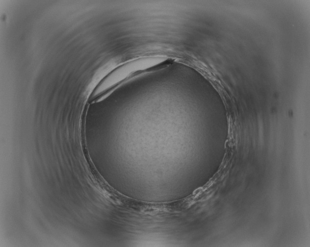 X0000088380099200706121155