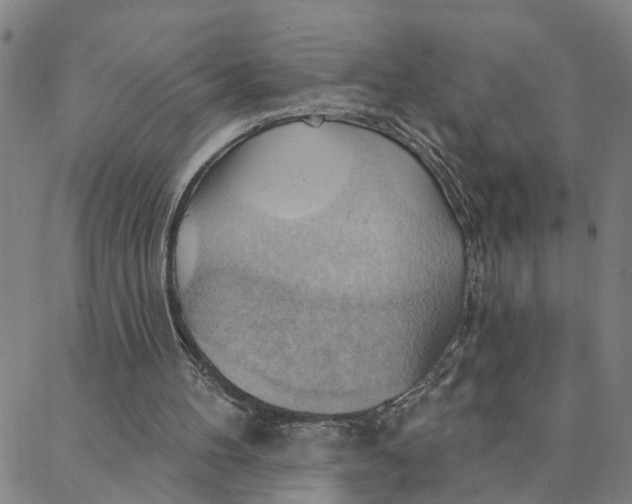 X0000088380100200706121155