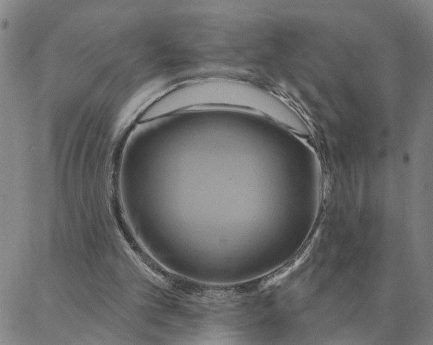 X0000088380101200706121155