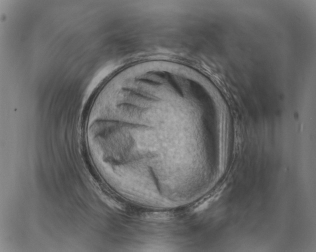 X0000088380102200706121155