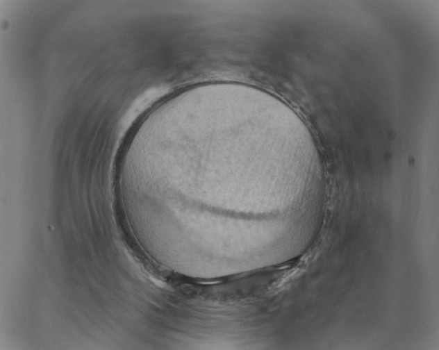 X0000088380104200706121155