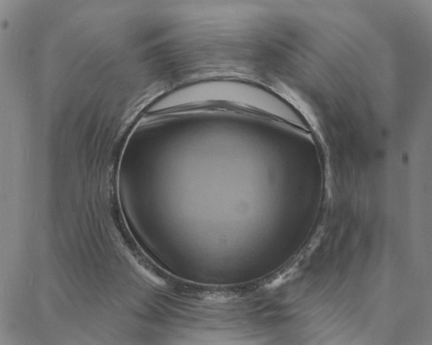 X0000088380105200706121155