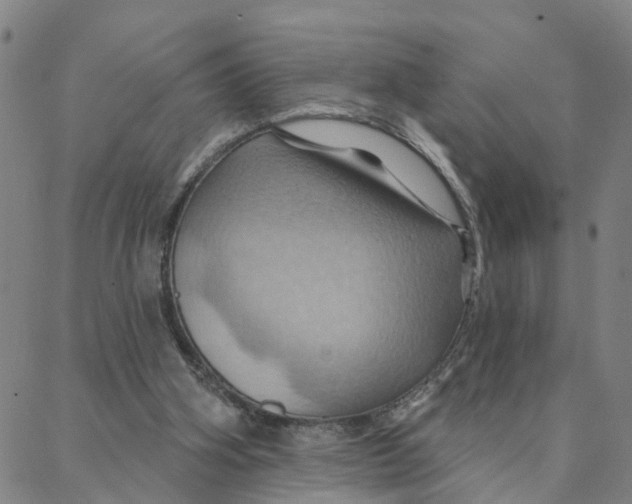 X0000088380106200706121155