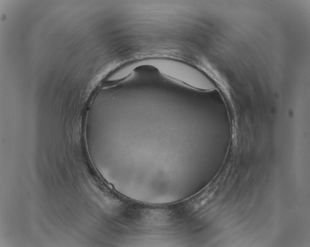 X0000088380107200706121155