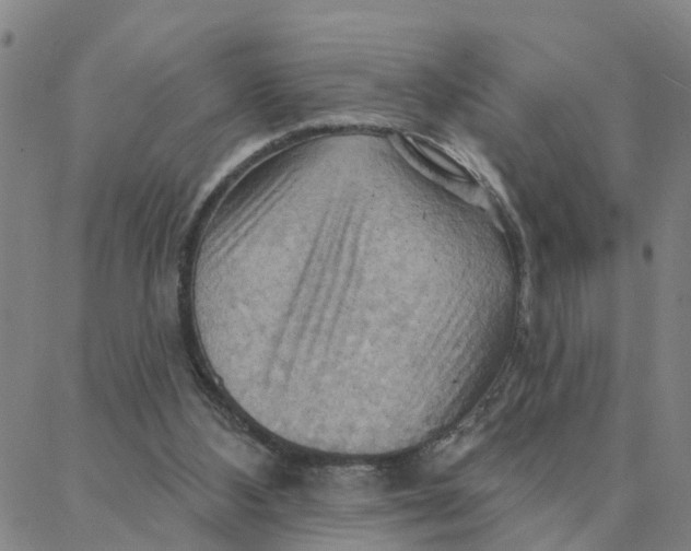 X0000088380108200706121155