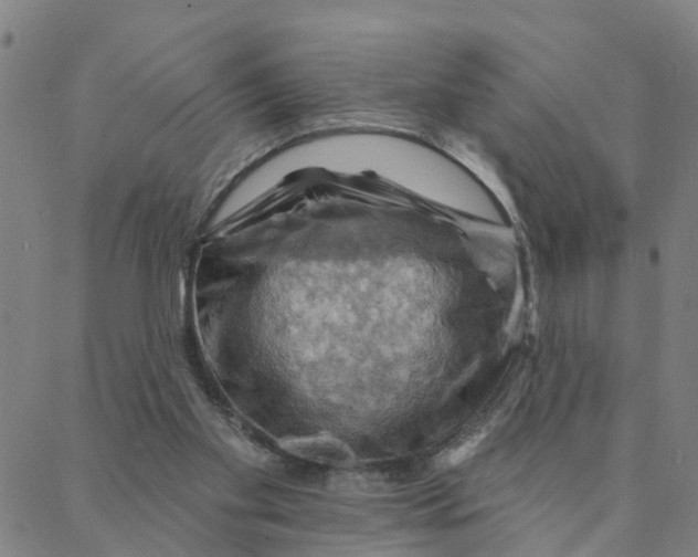 X0000088380109200706121155