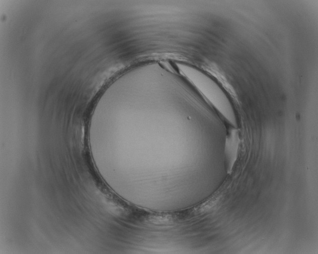 X0000088380110200706121155