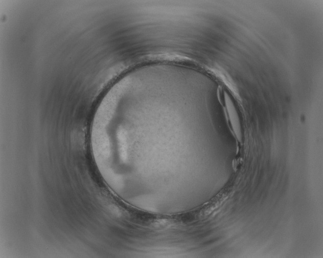 X0000088380111200706121155