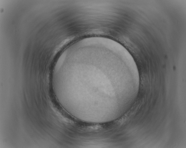 X0000088380112200706121155