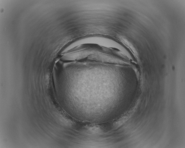 X0000088380113200706121155