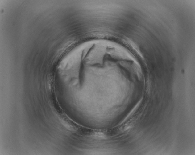 X0000088380114200706121155