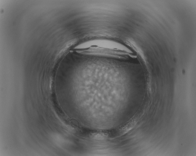 X0000088380115200706121155