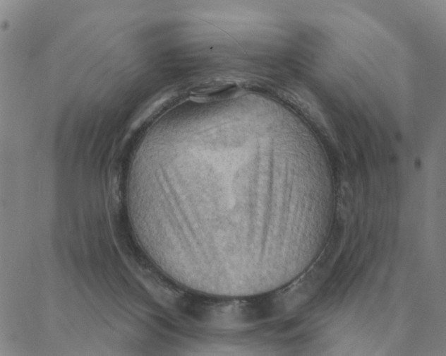 X0000088380116200706121155