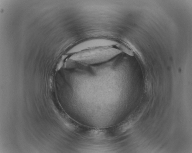 X0000088380117200706121155