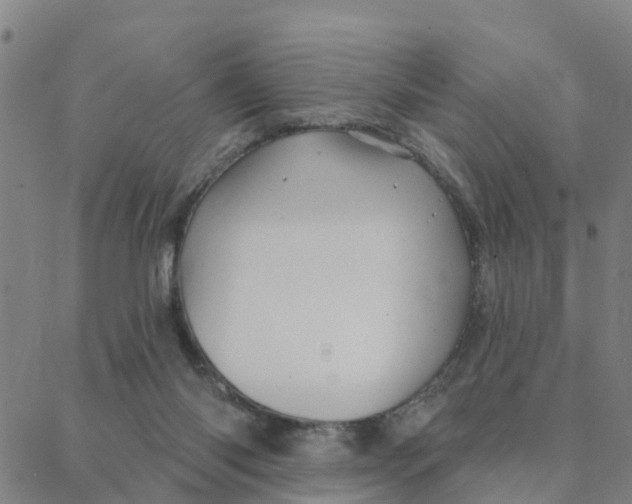 X0000088380118200706121155