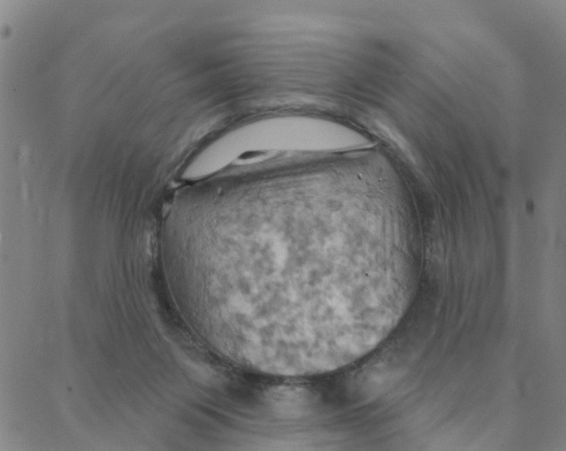 X0000088380119200706121155