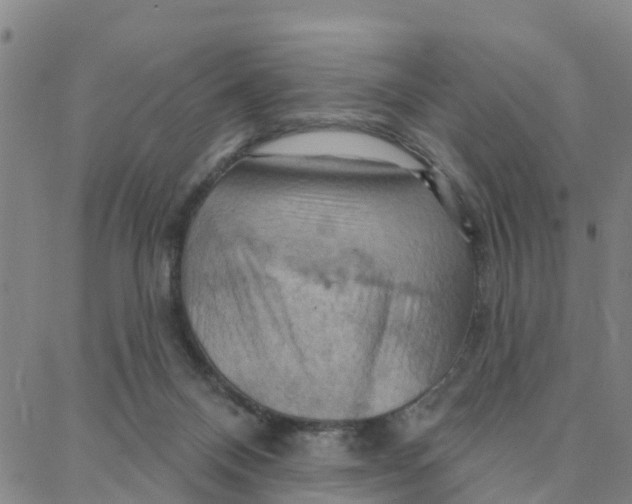 X0000088380120200706121155